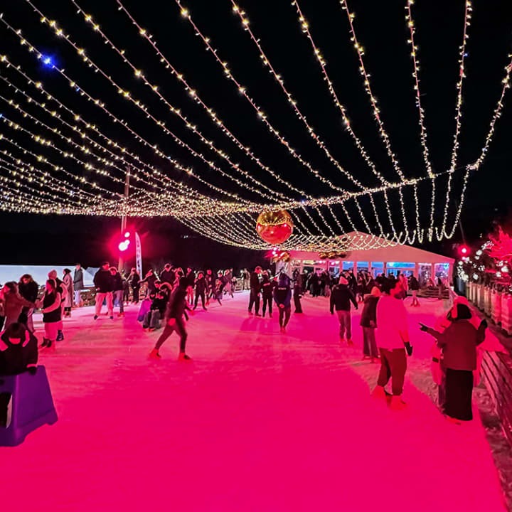 Patins en folie, Citroen, Paris