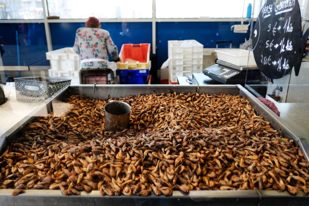 Le marché aux poissons d'Ostende