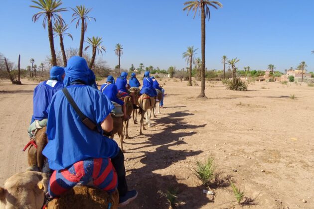 Les 6 activités à faire dans la Palmeraie de Marrakech, Maroc