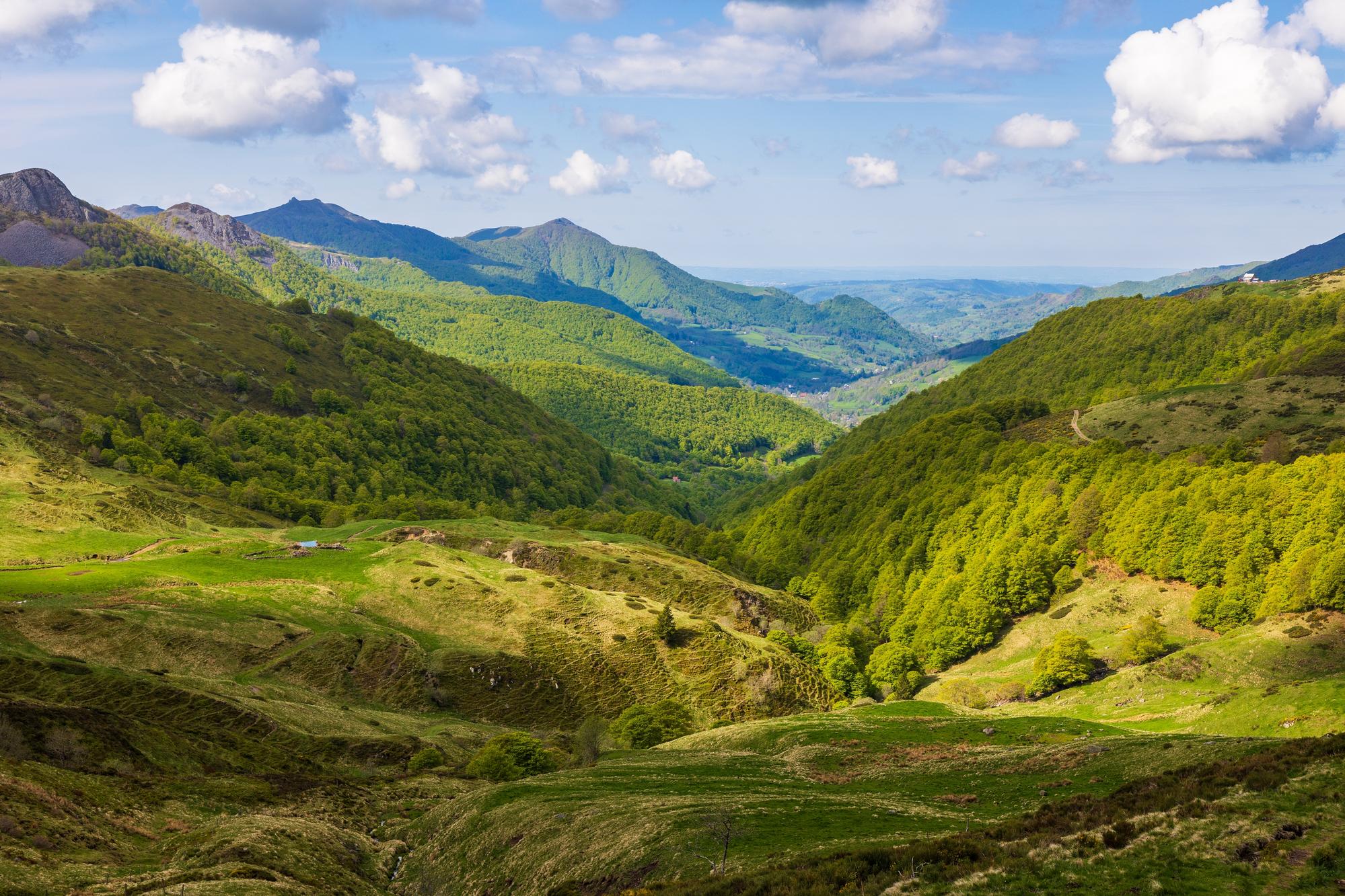Les monts du Cantal en Auvergne
