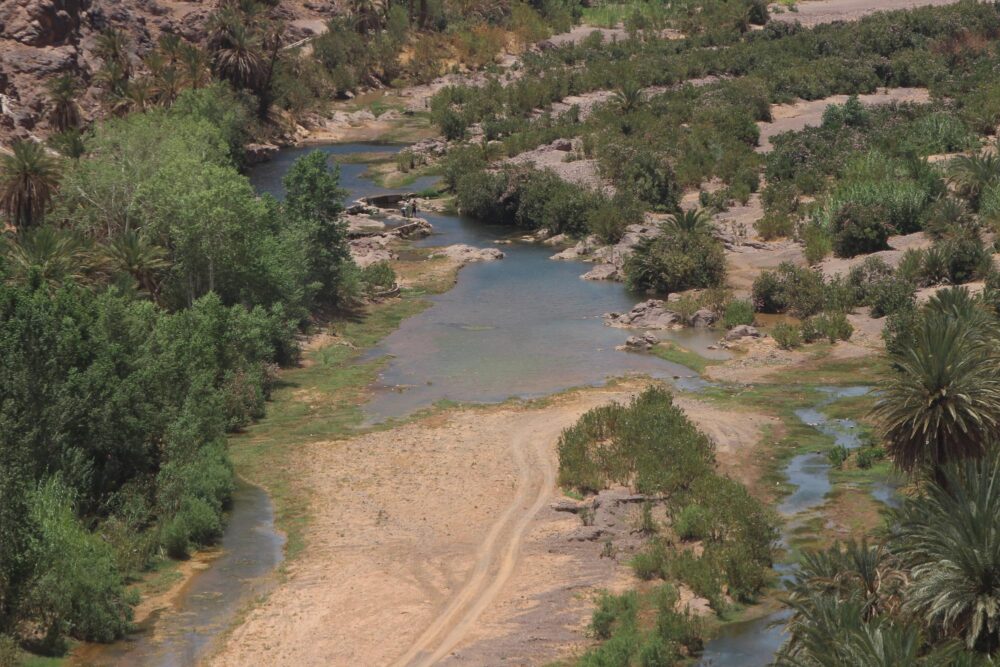 Vue aérienne de l'oasis de Fint