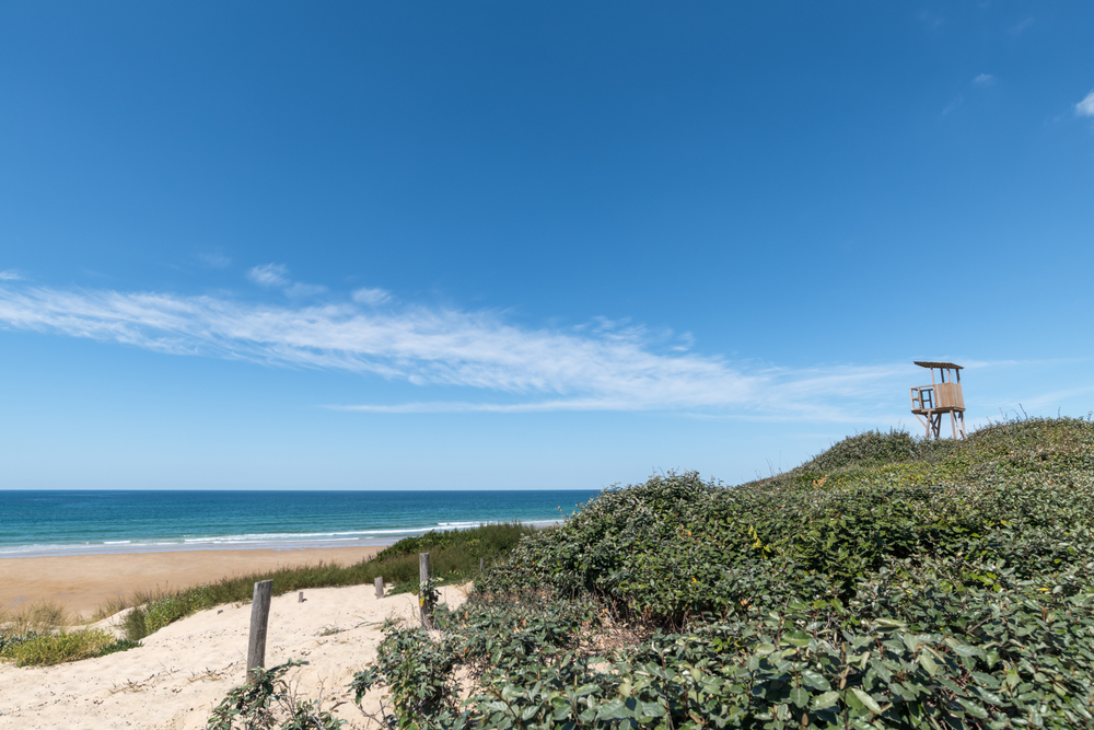 Plage Centrale, Biscarrosse