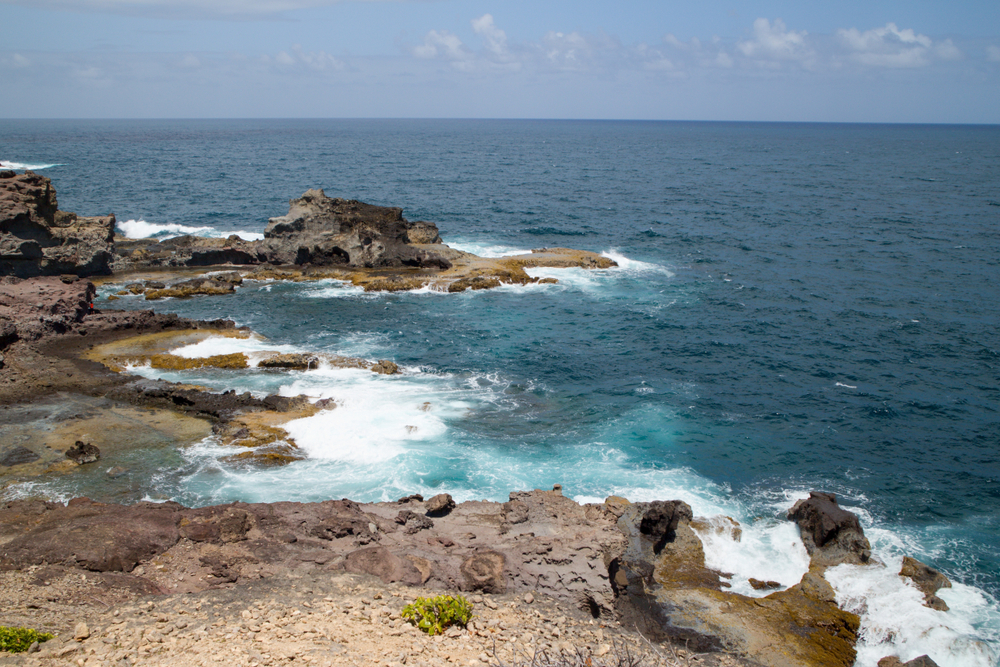 Presqu'île de la Caravelle en martinique