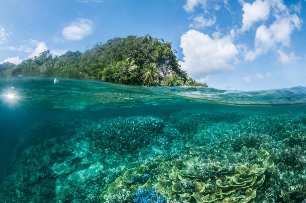 Barrière de corail dans la baie de Milne