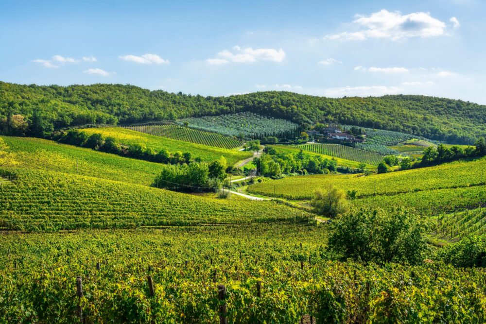 Collines du Chianti,Toscane