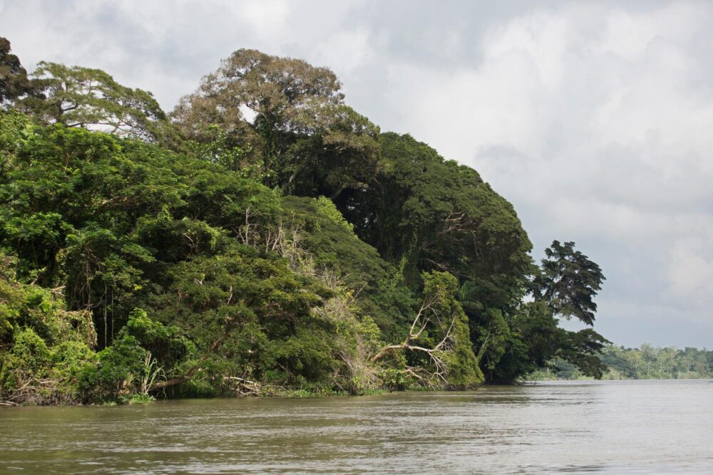 Fleuve Sepik en Papouasie-Nouvelle-Guinée