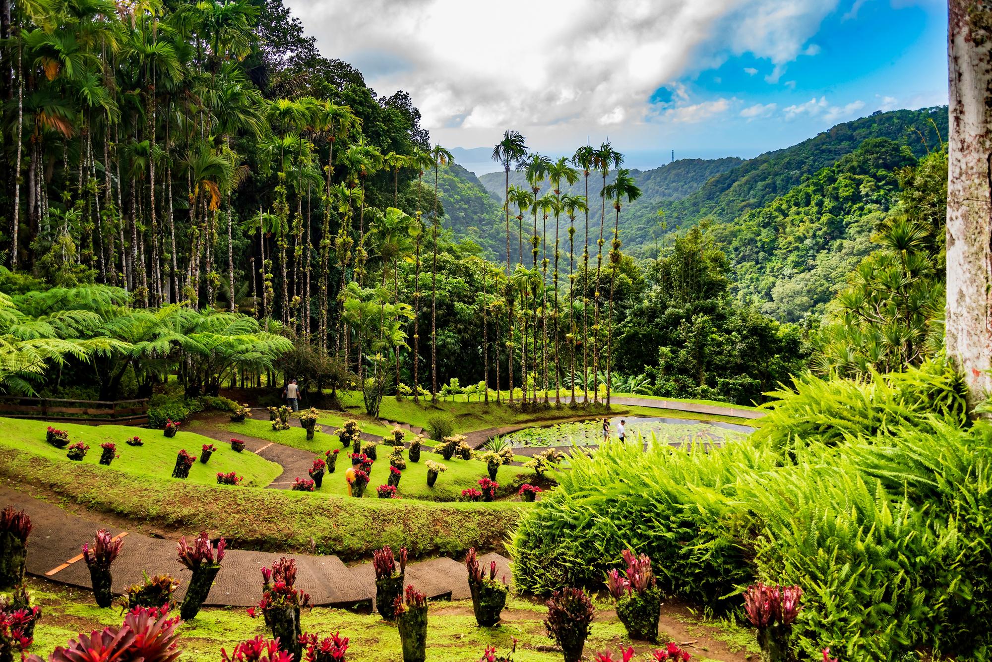 Le Jardin de Balata à Fort-de-France