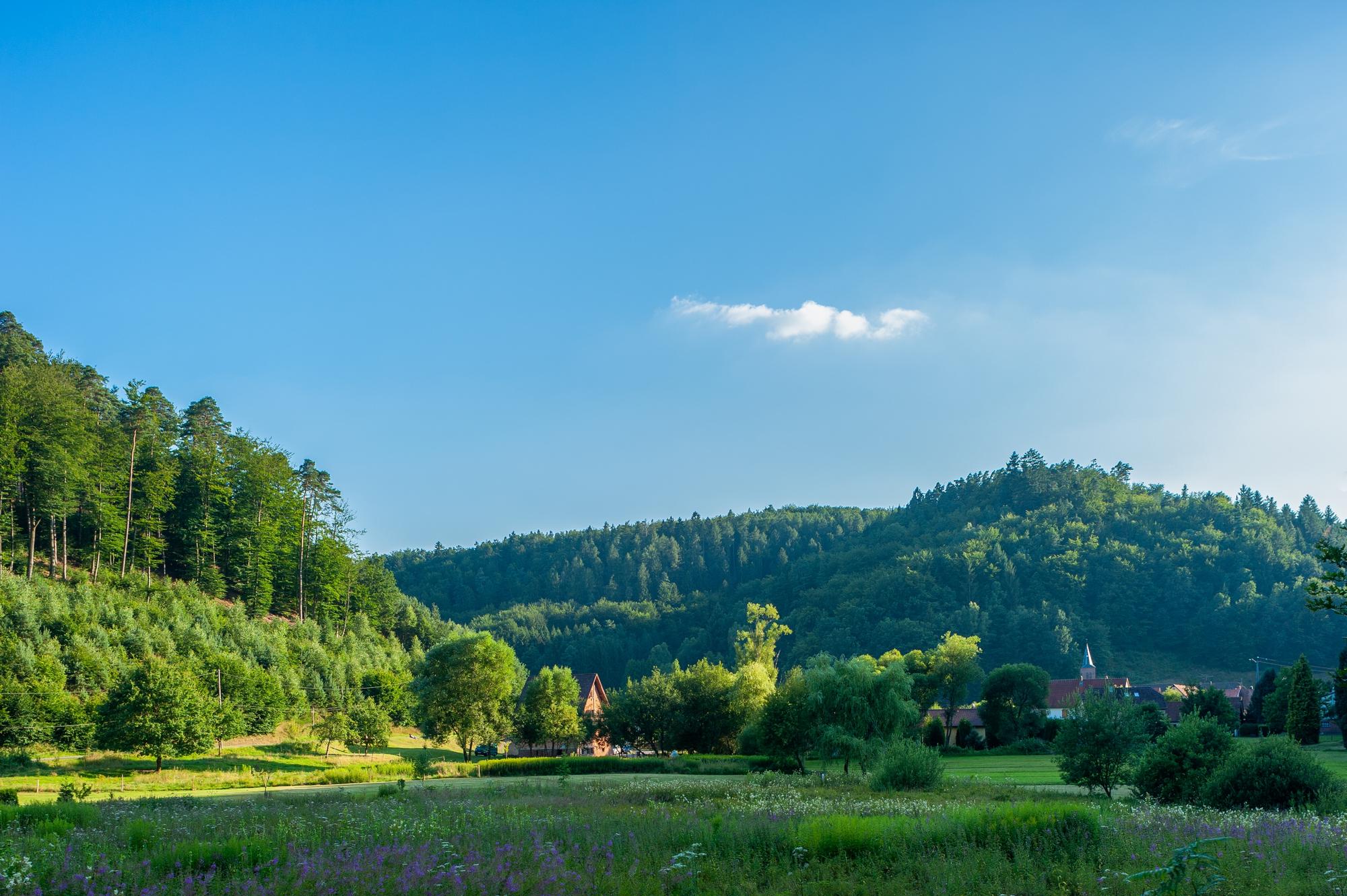 Parc naturel régional de Lorraine, Moselle