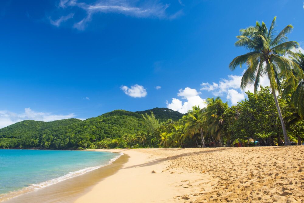 Plage de Bois Jolan en Guadeloupe, Antilles françaises