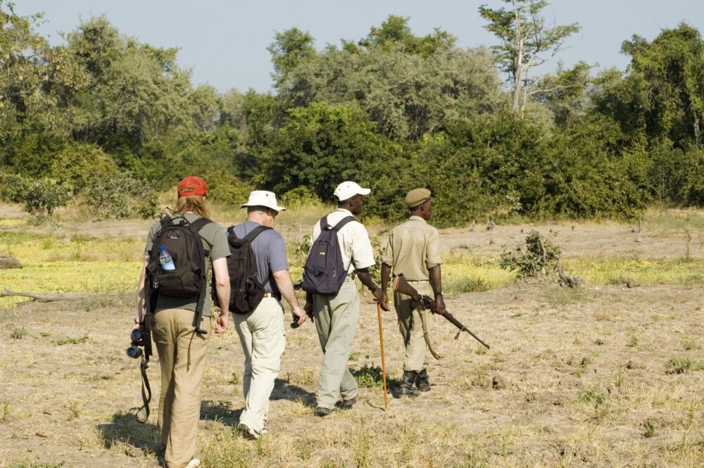 Safari à pied dans le parc national de South Luangwa, Zambie