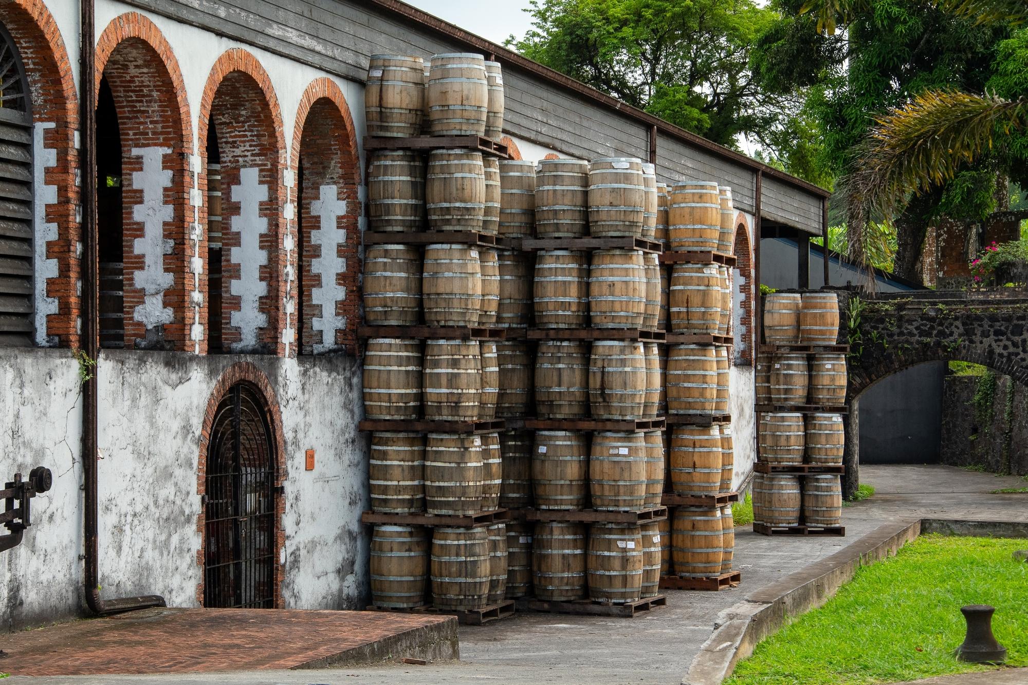 Tonneaux de rhum devant une distillerie