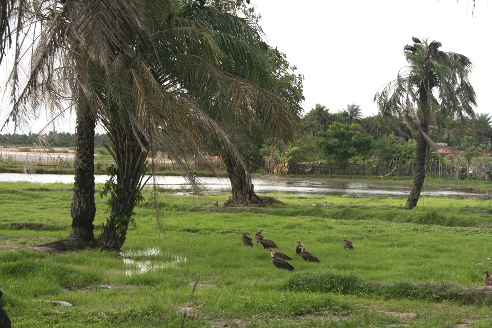 Bolong près de Cap Skirring, Casamance