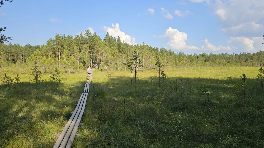 Boucle Helvetinjärvi dans le Parc national d'Helvetinjärvi, Finlande