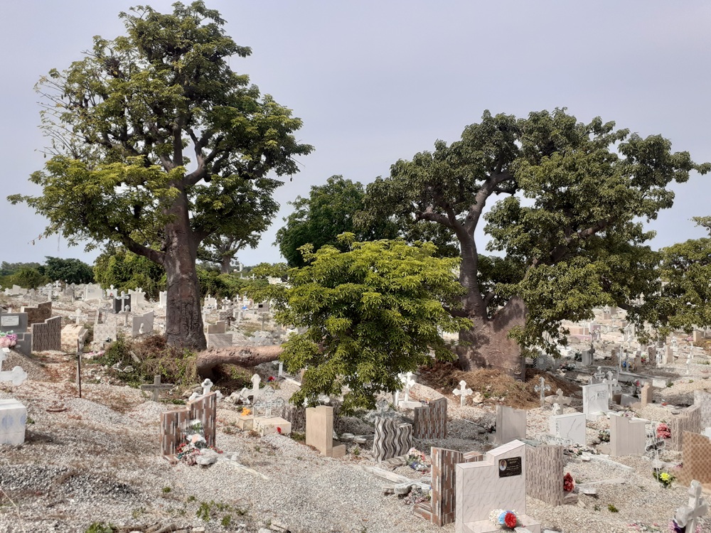 Cimetière de Fadiouth, Sénégal