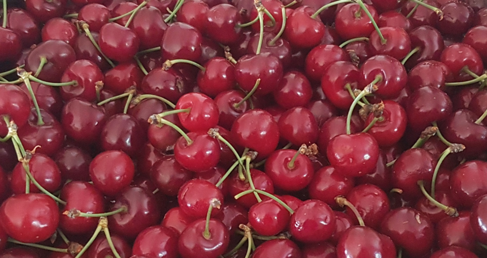 Étal de cerises rouges au marché de Céret