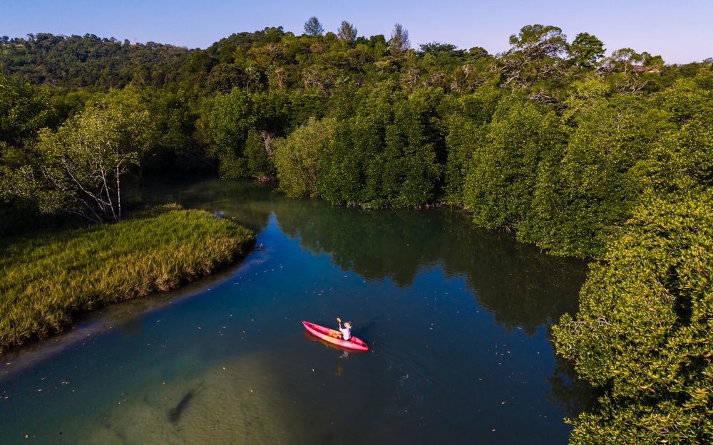 Kayak dans la végétation luxuriante de Koh Phayam, Thaïlande