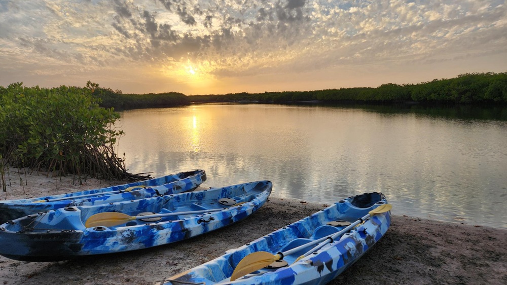 Kayak dans le Sine Saloum