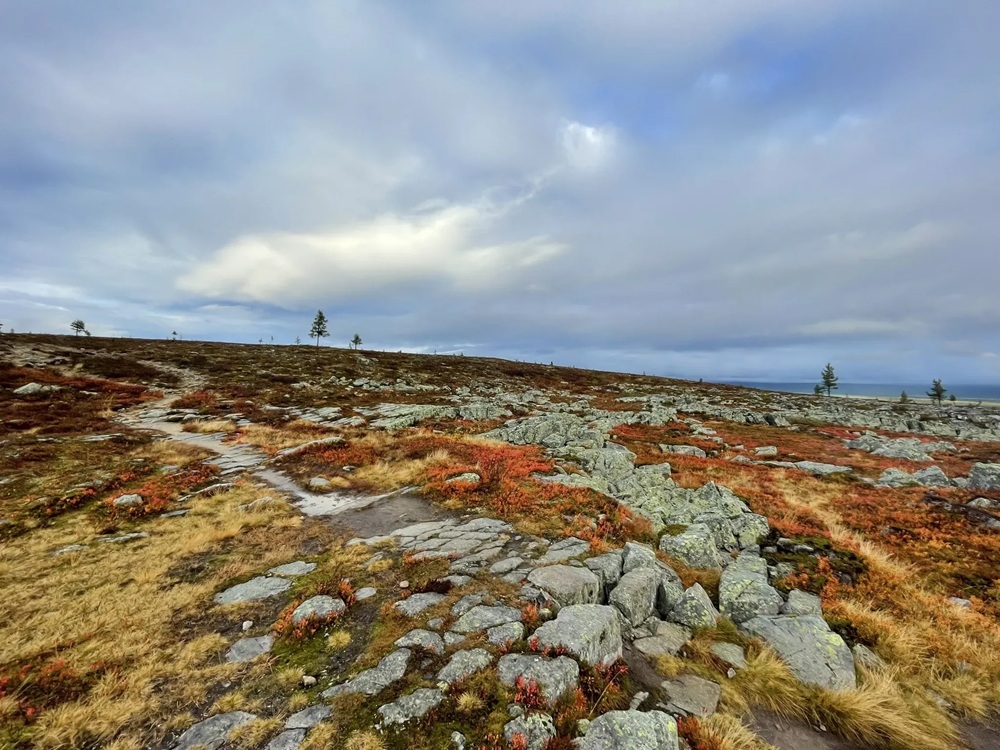 Le Hetta-Pallas Trek dans le Parc national de Pallas-Yllästunturi, Finlande