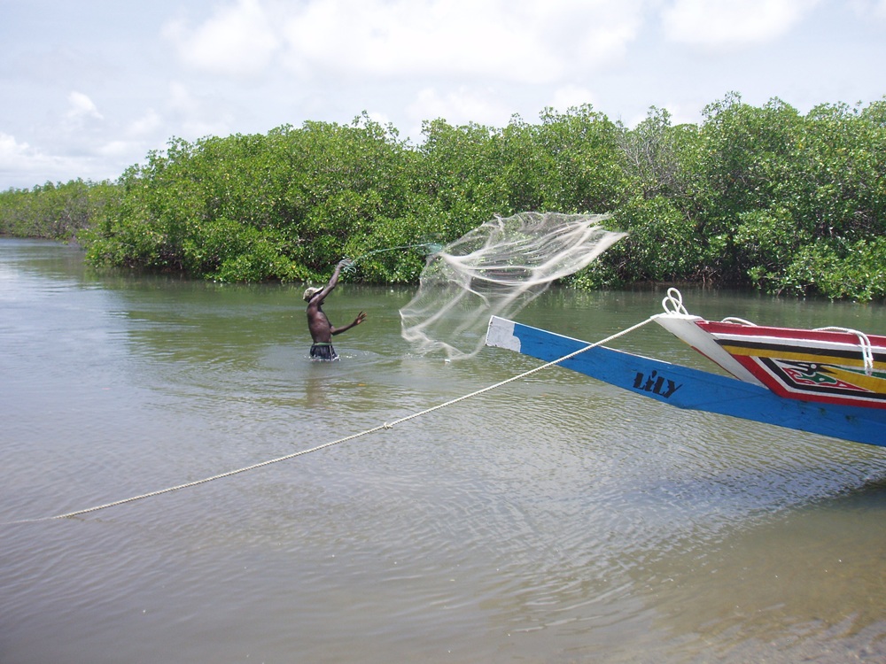 Pêcheur et pirogue dans le Sine Saloum, Sénégal