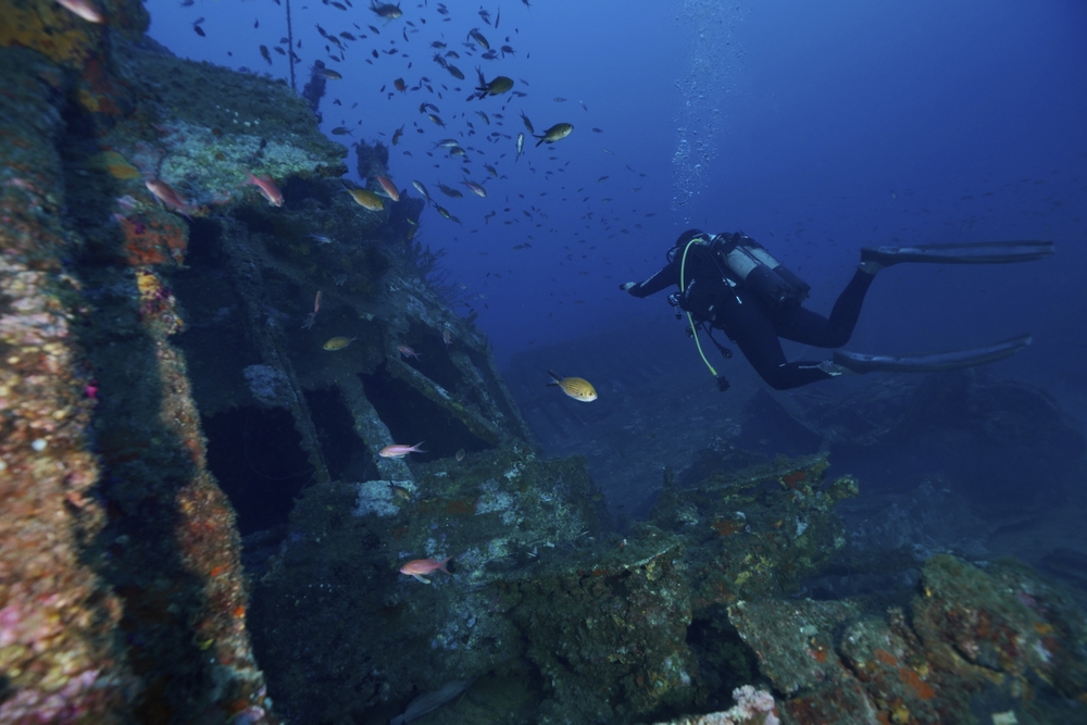 Plongée sous-marine près de Saint-Cyr-sur-Mer