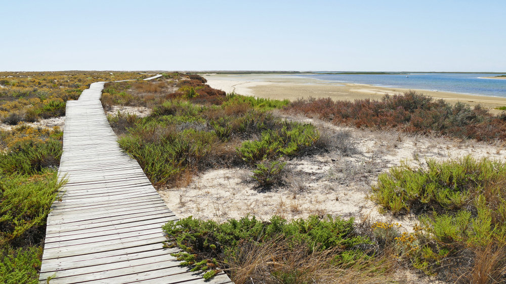 Praia Deserta (Ilha Deserta) Faro