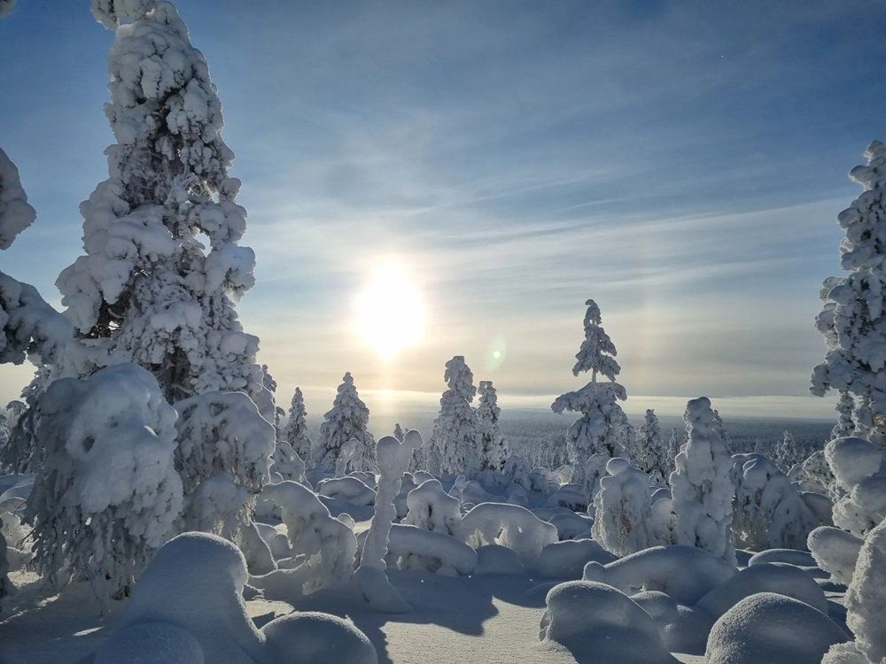 Sentier Iisakkipää dans le Parc national d’Urho Kekkonen, Finlande