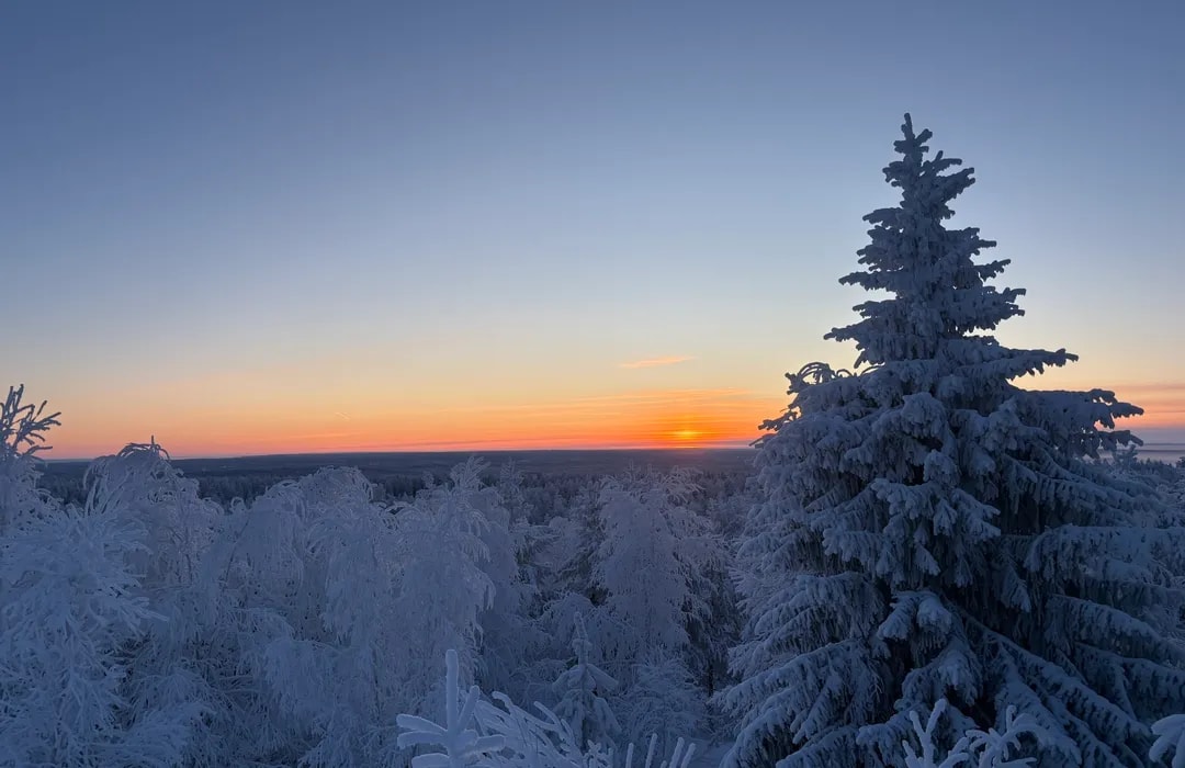 Sentier d'Ounasvaara en Laponie, Finlande