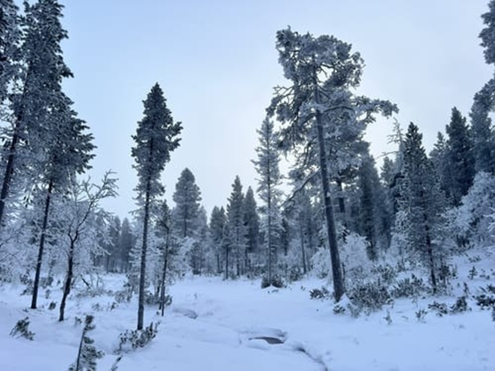 Sentier nature de Lisakkipää dans le parc Urho Kekkonen en Laponie, Finlande