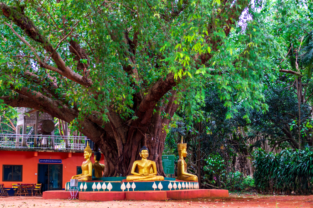 Statues de Bouddha au Wat Koh Mak, île Koh Mak