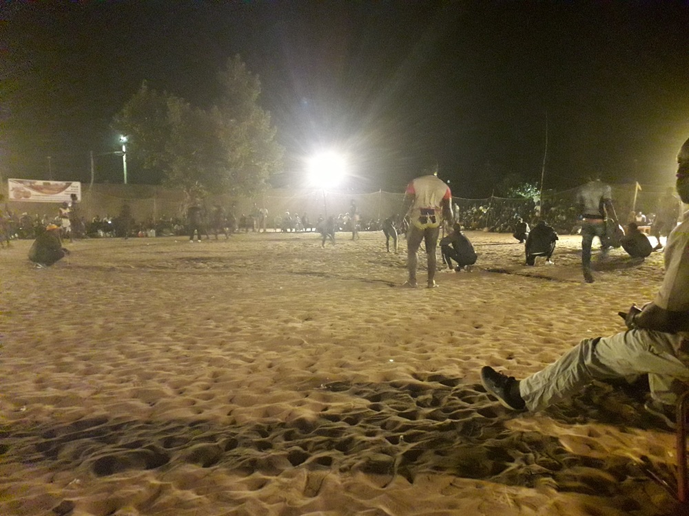 Tournoi de lutte sénégalaise, Sine Saloum