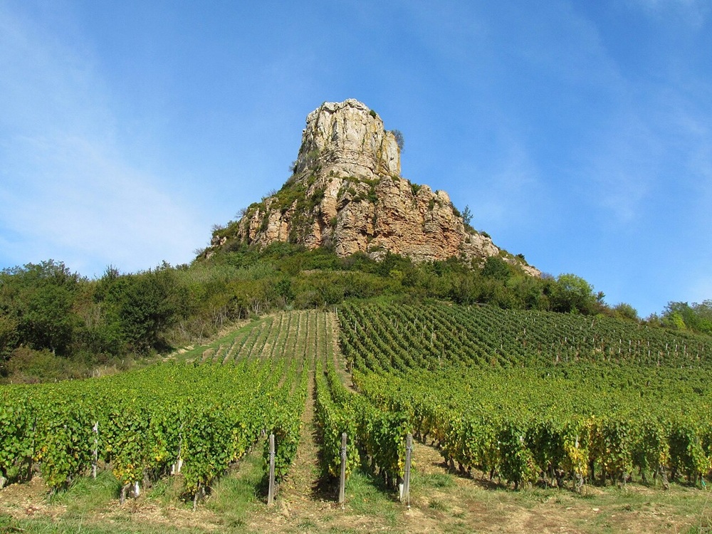 Vignoble près de Mâcon