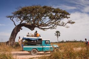 Visiter la Casamance (Sénégal), 10 incontournables à faire et voir