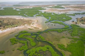 Vue aérienne sur le Sine Saloum, Sénégal
