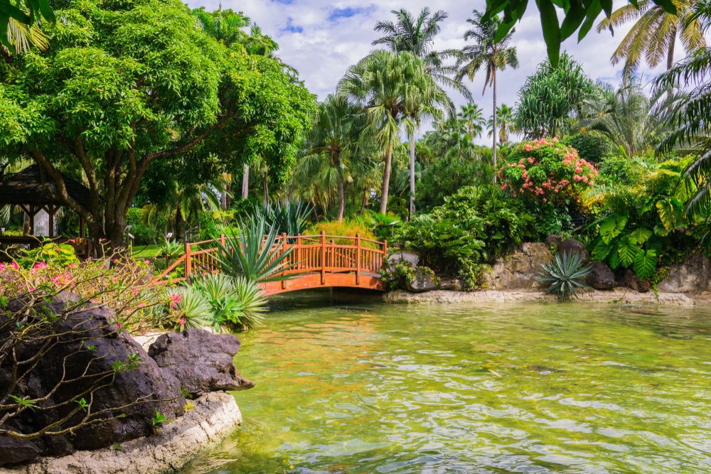 jardin botanique de Deshaies en Guadeloupe