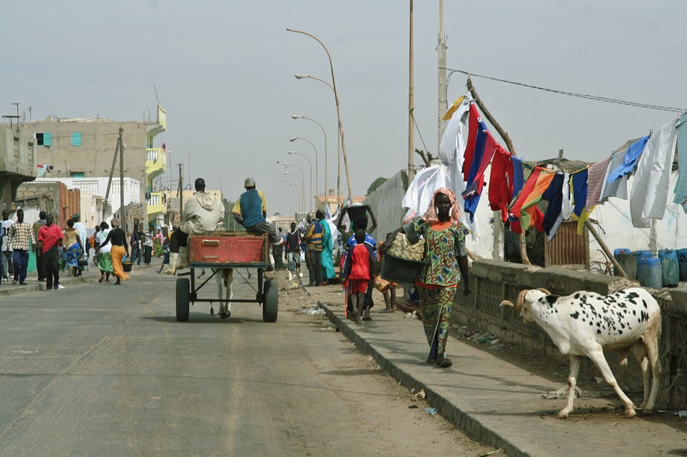 Charrette dans la ville de Saint-Louis, Sénégal
