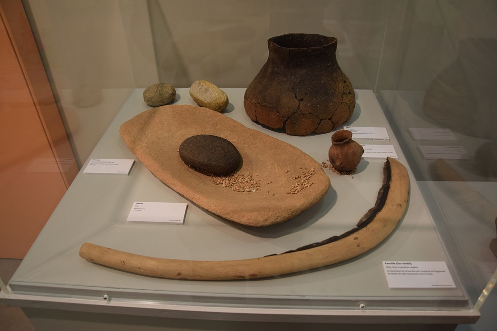 Collection du musée Arkeos, Douai