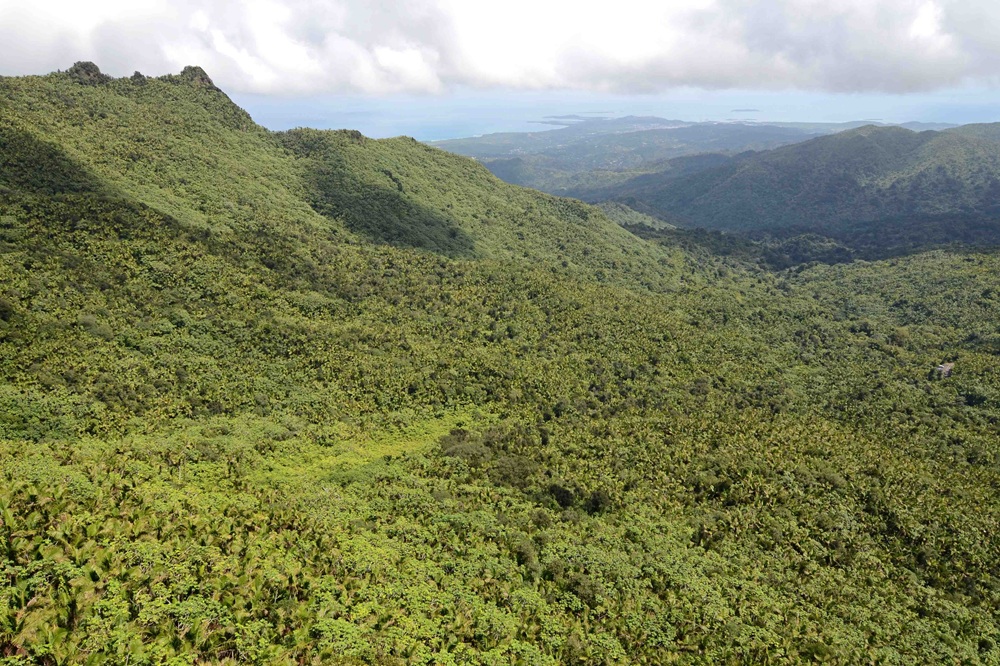 El Yunque, Porto Rico