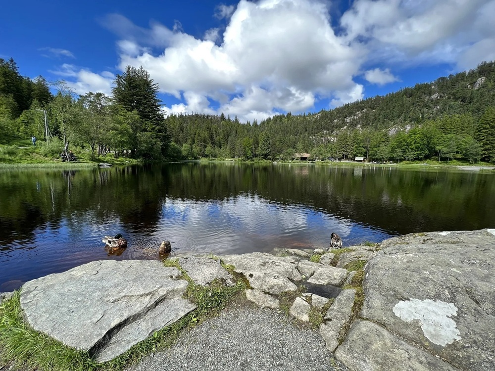 Fløyen à Rundemanen, Bergen