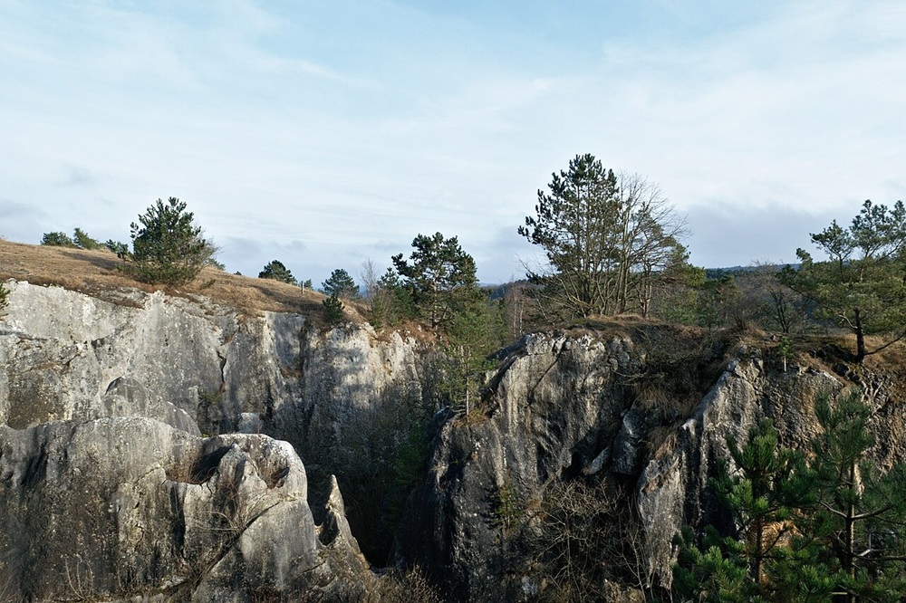 Forêt du Pays de Chimay, Belgique