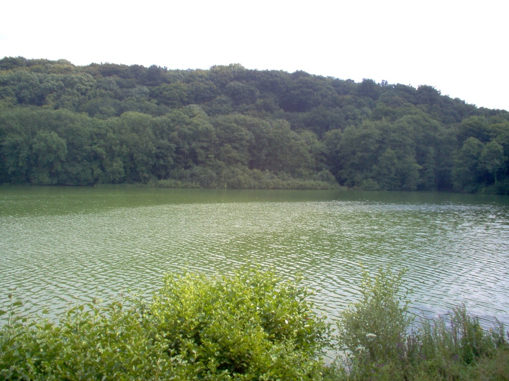 Lac de Virelles près de Chimay, Belgique