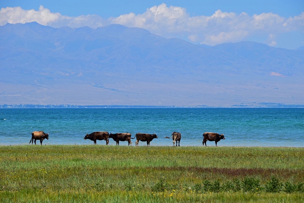 Lac Issyk Kul