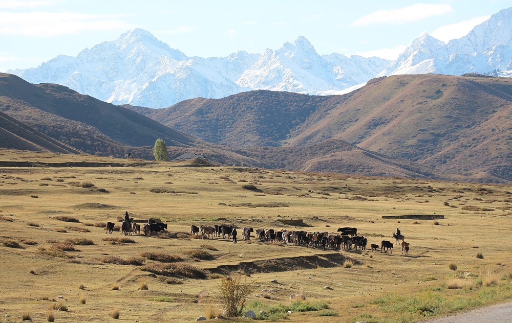 Massif du Tian Shan, Kirghizistan