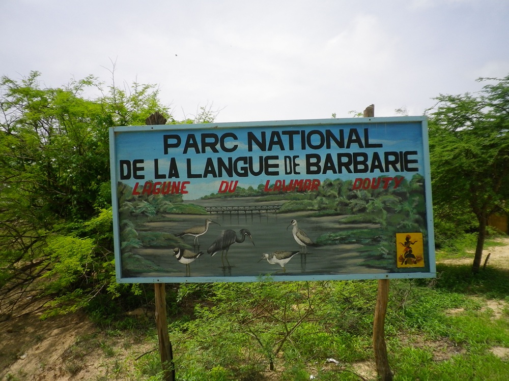 Parc national de la Langue de Barbarie, Saint-Louis au Sénégal