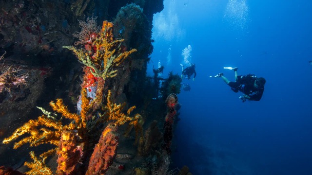 Guadeloupe Saint-François