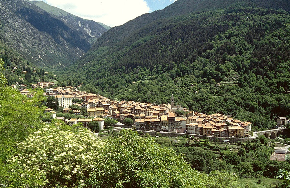 Vue d'ensemble du village de Saint-Martin-Vésubie