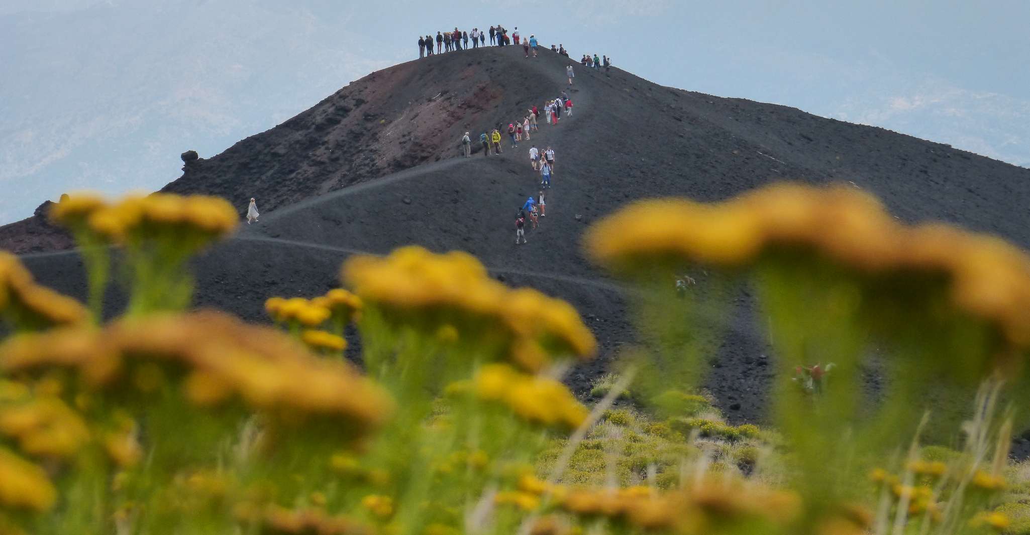 Sicile : Randonnée guidée des cratères du versant nord de l'Etna