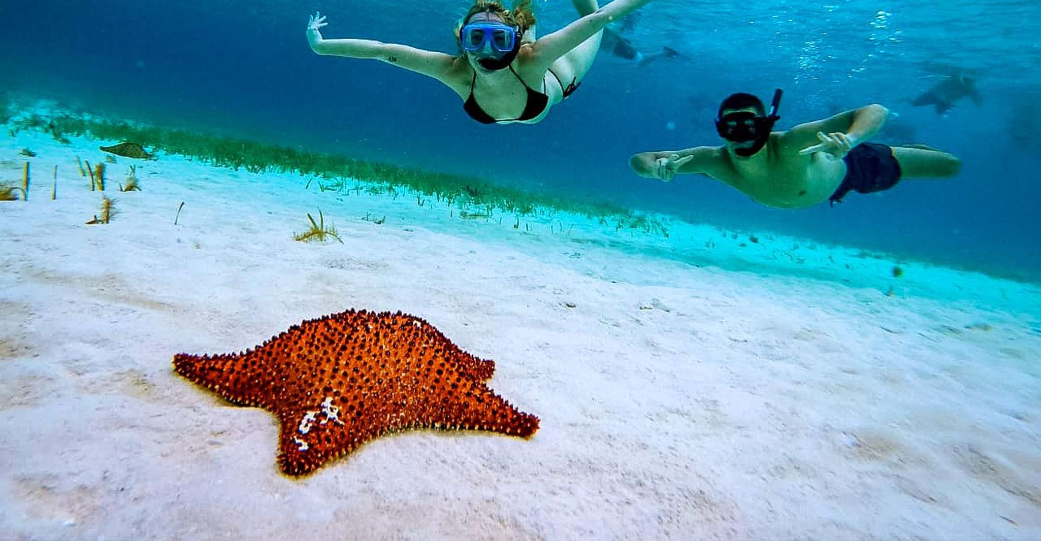Cozumel : Expérience de Snorkeling avec Étoiles de Mer, Raies et El Cielo