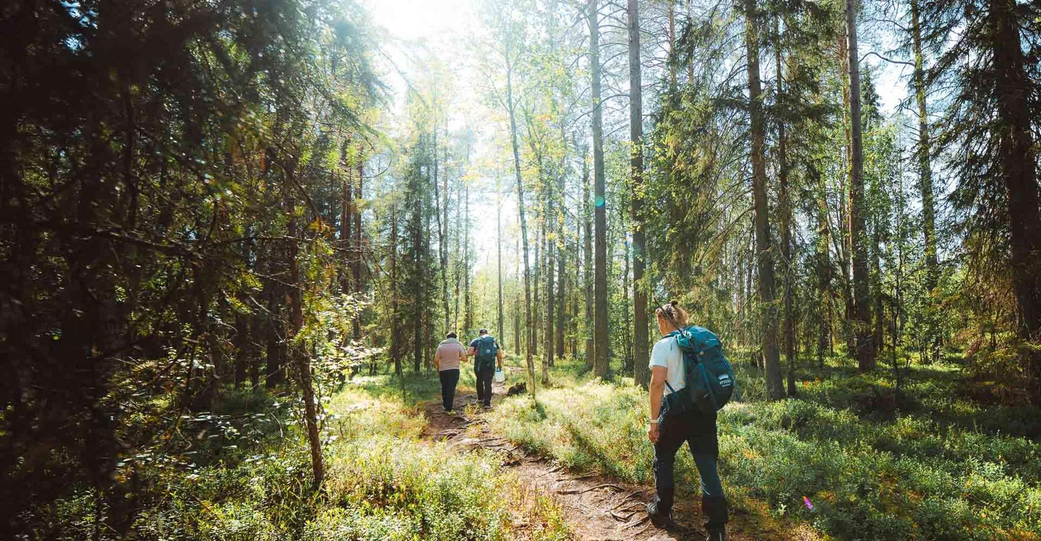 Rovaniemi : randonnée au cœur de la nature