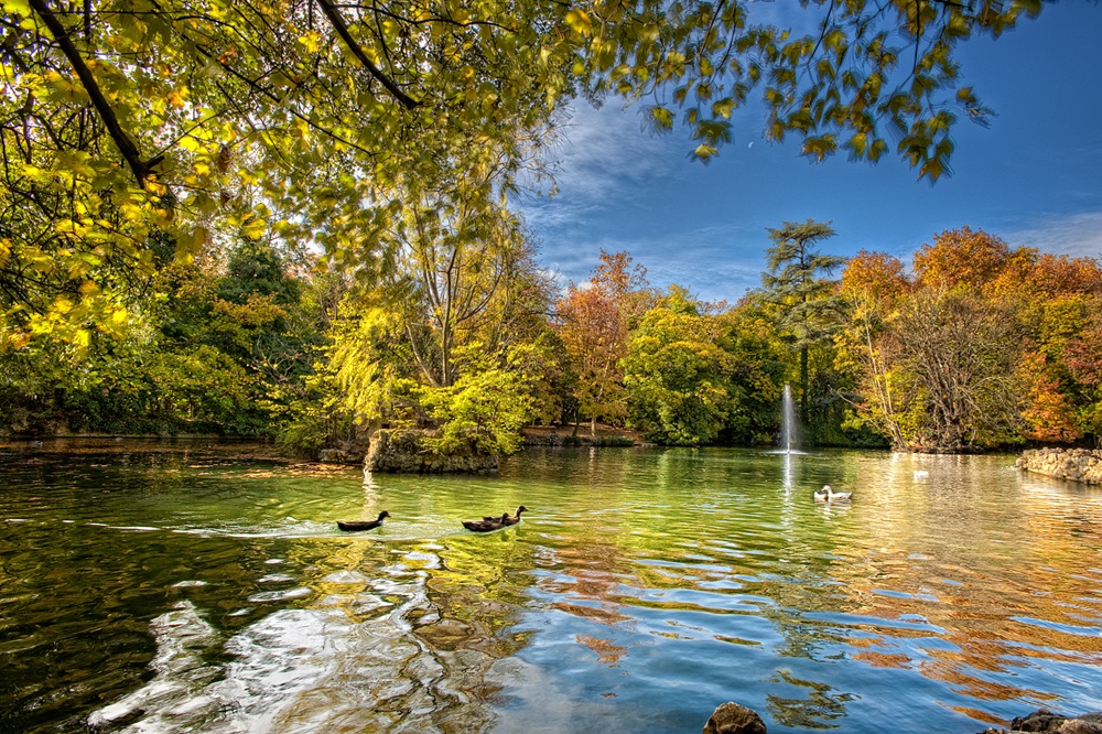 Campo Grande, Valladolid