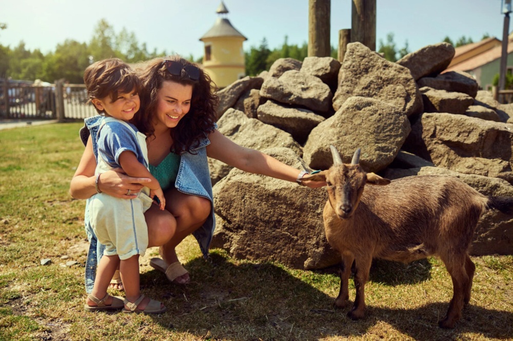 Famille visitant une ferme d'animaux